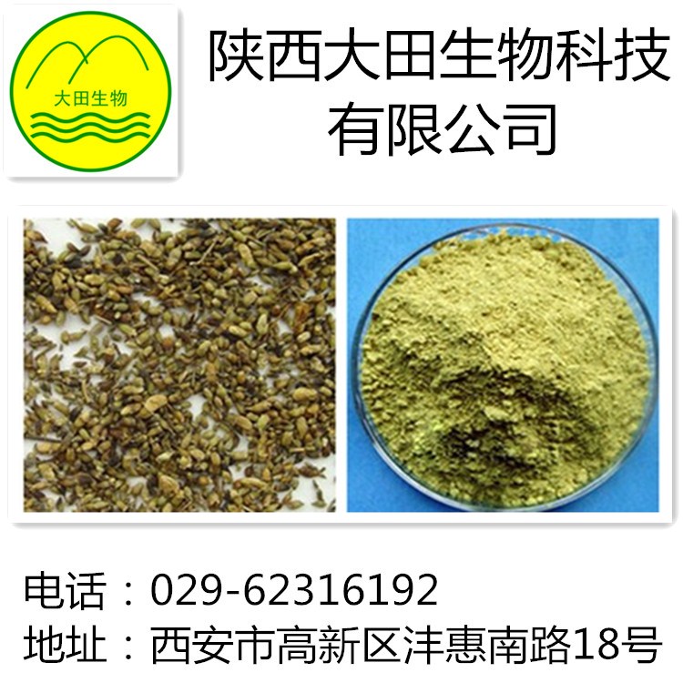 厂家长期供应槲皮素提取物