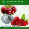 覆盆子酮提取物99%