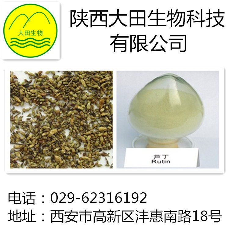 厂家现货供应芦丁提取物