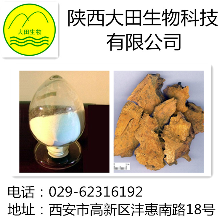 厂家现货供应白藜芦醇提取物