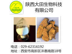 厂家现货供应白藜芦醇提取物