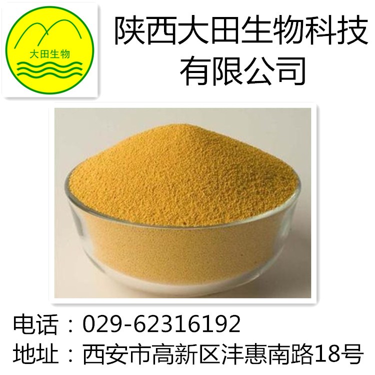 厂家现货供应阿魏酸提取物