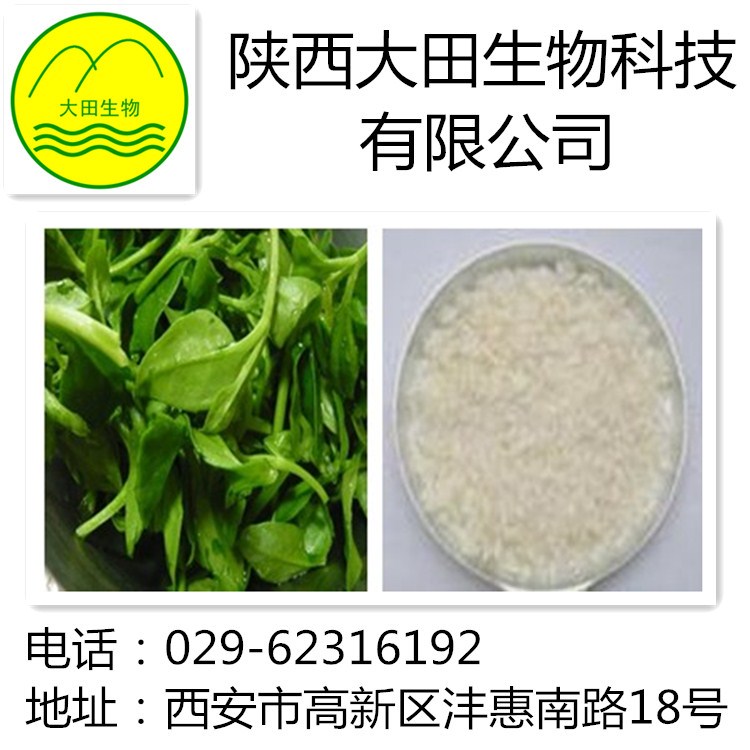 厂家长期供应穿心莲内酯提取物