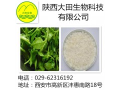 厂家长期供应穿心莲内酯提取物