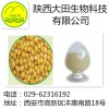 厂家现货供应大豆甙元提取物