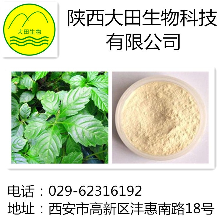 厂家现货供应绞股蓝提取物