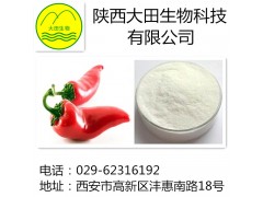 厂家现货供应辣椒碱提取物