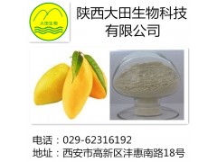 厂家现货供应芒果甙提取物