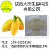 厂家现货供应芒果甙提取物