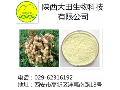 厂家现货供应木犀草素提取物