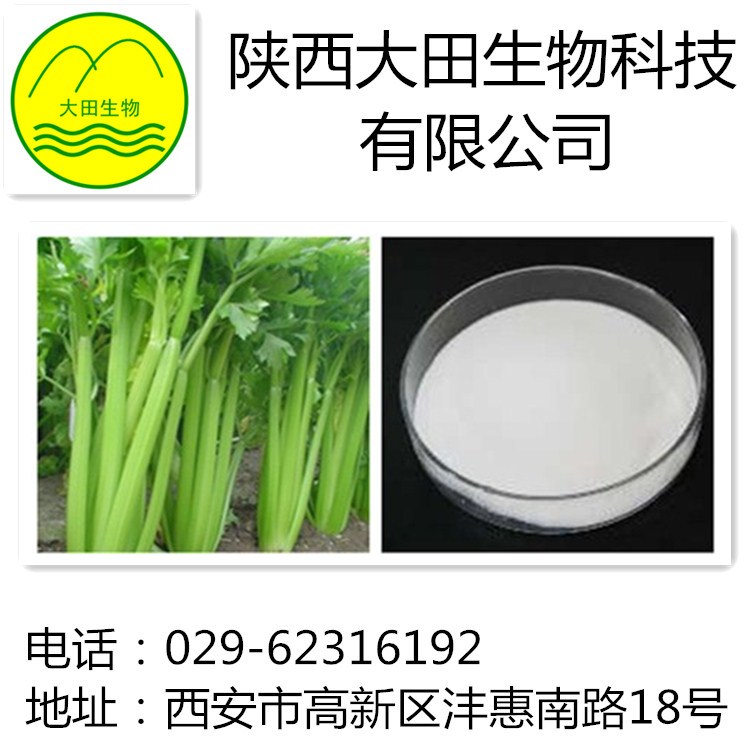 厂家现货供应芹菜素提取物