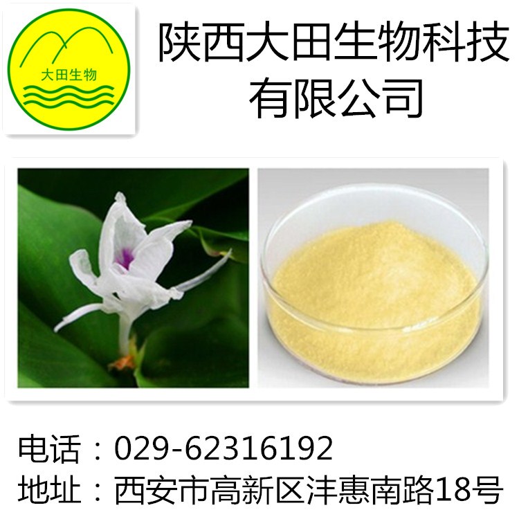 厂家现货供应山奈酚提取物