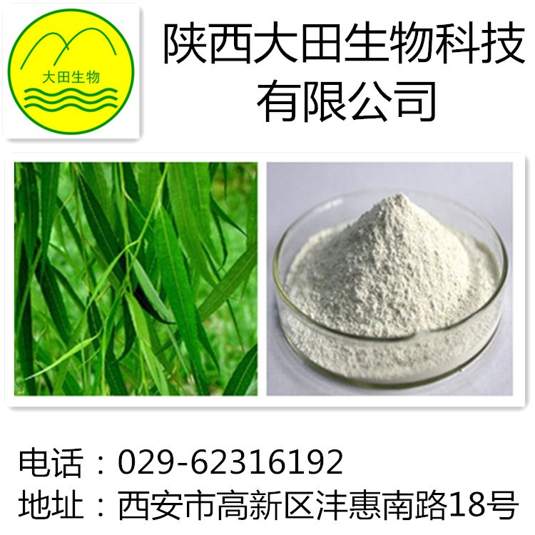 厂家现货供应水杨甙提取物
