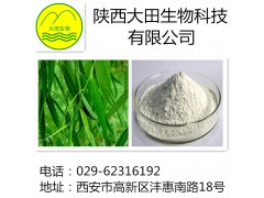 厂家现货供应水杨甙提取物