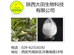 厂家现货供应熊果酸提取物