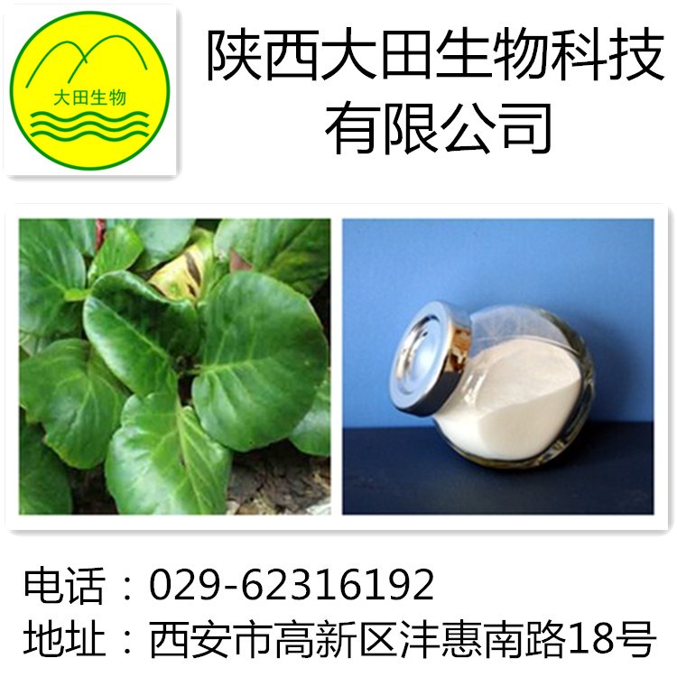 厂家现货供应岩白菜素提取物