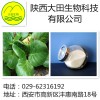 厂家现货供应岩白菜素提取物