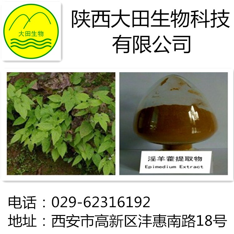 厂家现货供应淫羊藿提取物