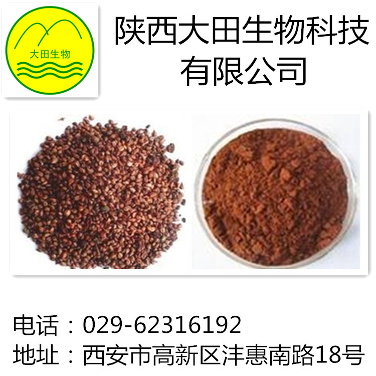 厂家现货供应葡萄籽提取物