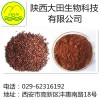 厂家现货供应葡萄籽提取物