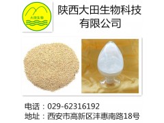 厂家现货供应芝麻素提取物