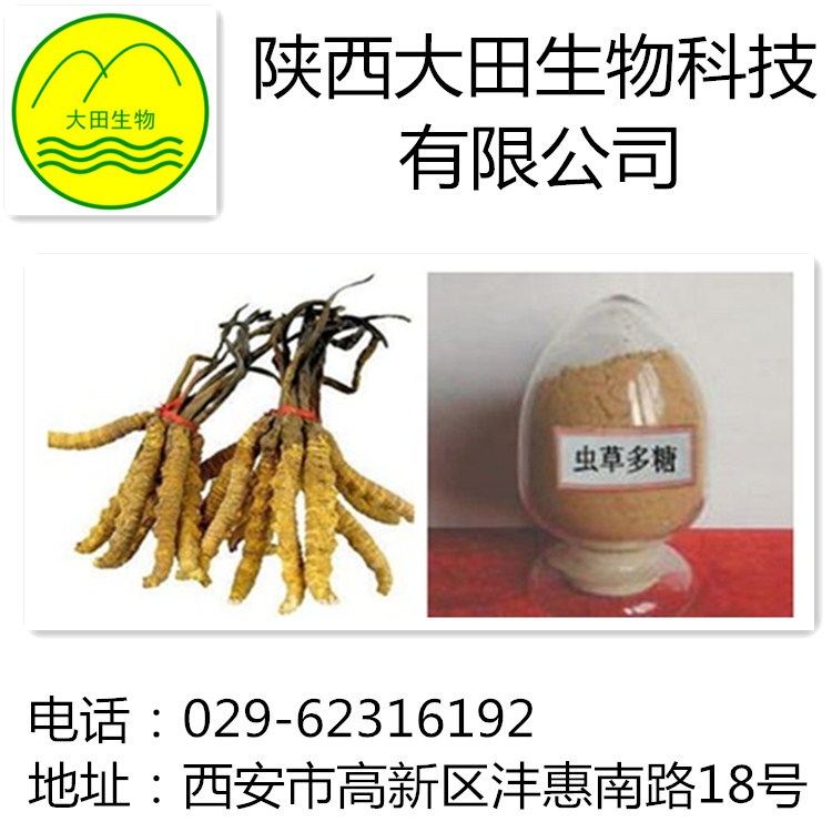 厂家现货供应虫草多糖提取物