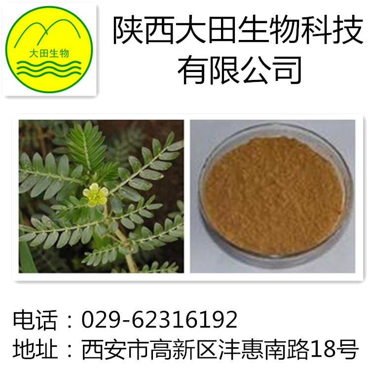 厂家现货供应刺蒺藜提取物