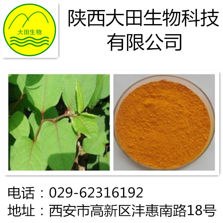 厂家现货供应大黄素提取物
