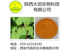 厂家现货供应大黄素提取物