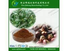 梭罗果提取物 七叶皂甙提取物