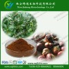 梭罗果提取物 七叶皂甙提取物