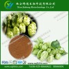 啤酒花提取物