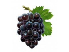 葡萄籽提取物