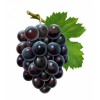 葡萄籽提取物