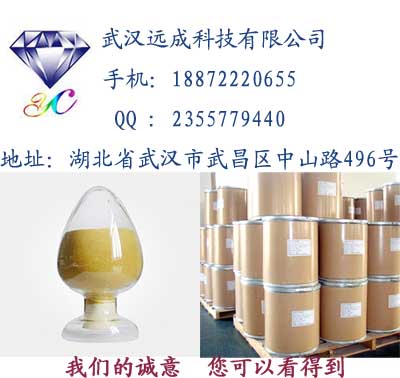 厂家批发优质天麻提取物|天麻提取物价格