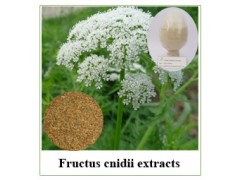 20%蛇床子素价格 蛇床子提取物