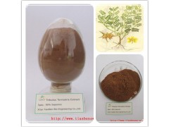 刺蒺藜提取物 胶囊 刺蒺藜总皂甙