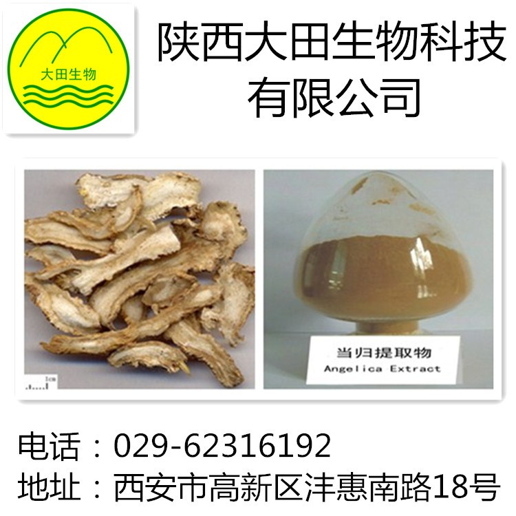 厂家现货供应当归提取物
