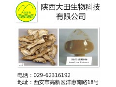 厂家现货供应当归提取物