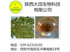 厂家现货供应番泻叶提取物