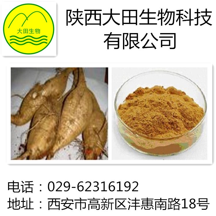 厂家现货供应葛根黄酮提取物