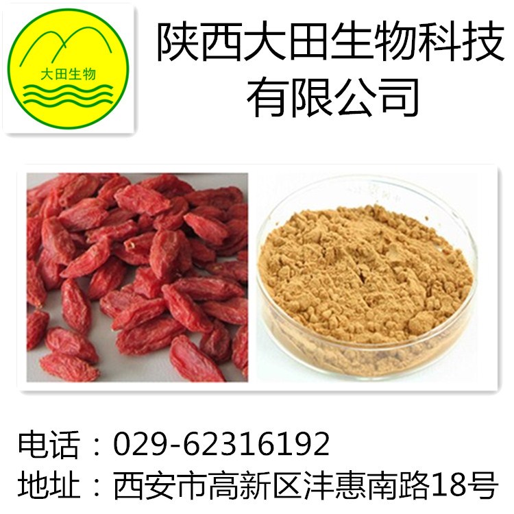 厂家现货供应枸杞提取物