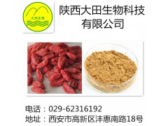 厂家现货供应枸杞提取物