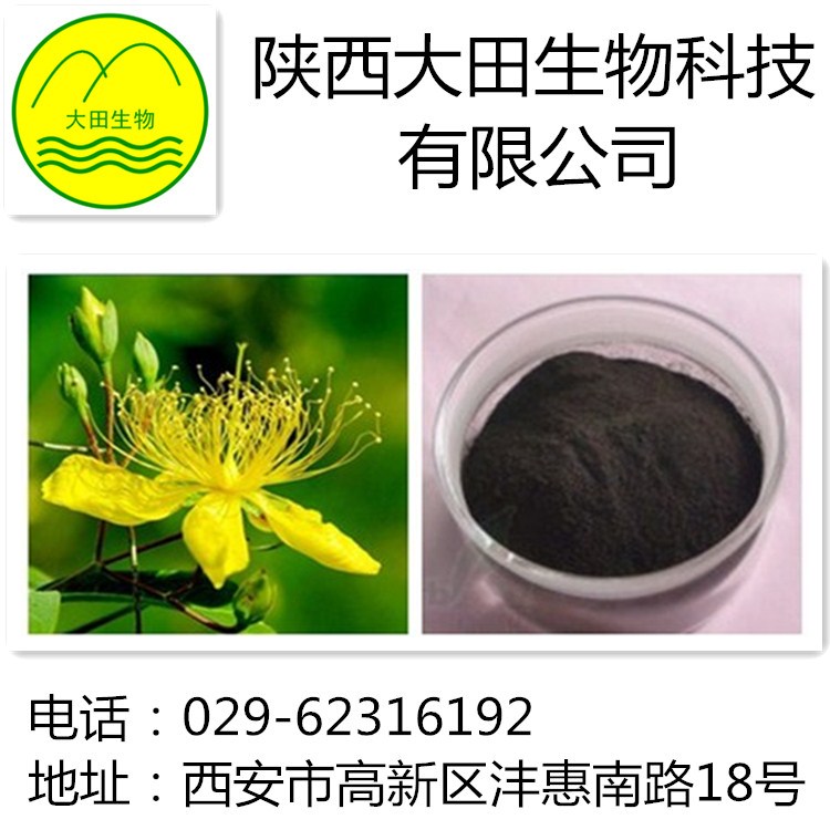 厂家现货供应贯叶连翘提取物