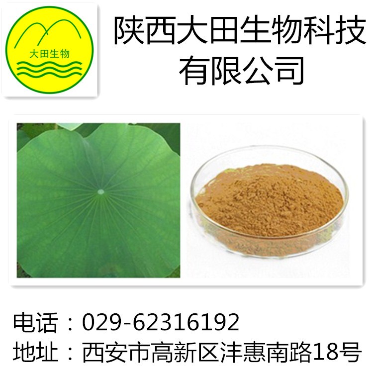 厂家现货供应荷叶提取物