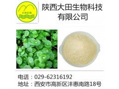 厂家现货供应积雪草提取物