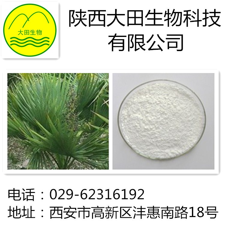 锯叶棕提取物