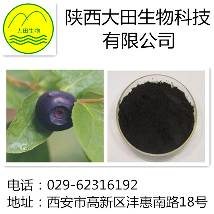 厂家现货供应蓝莓提取物