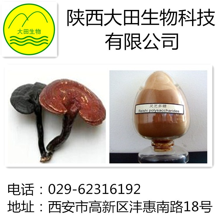 厂家现货供应灵芝提取物