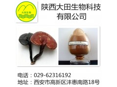 厂家现货供应灵芝提取物